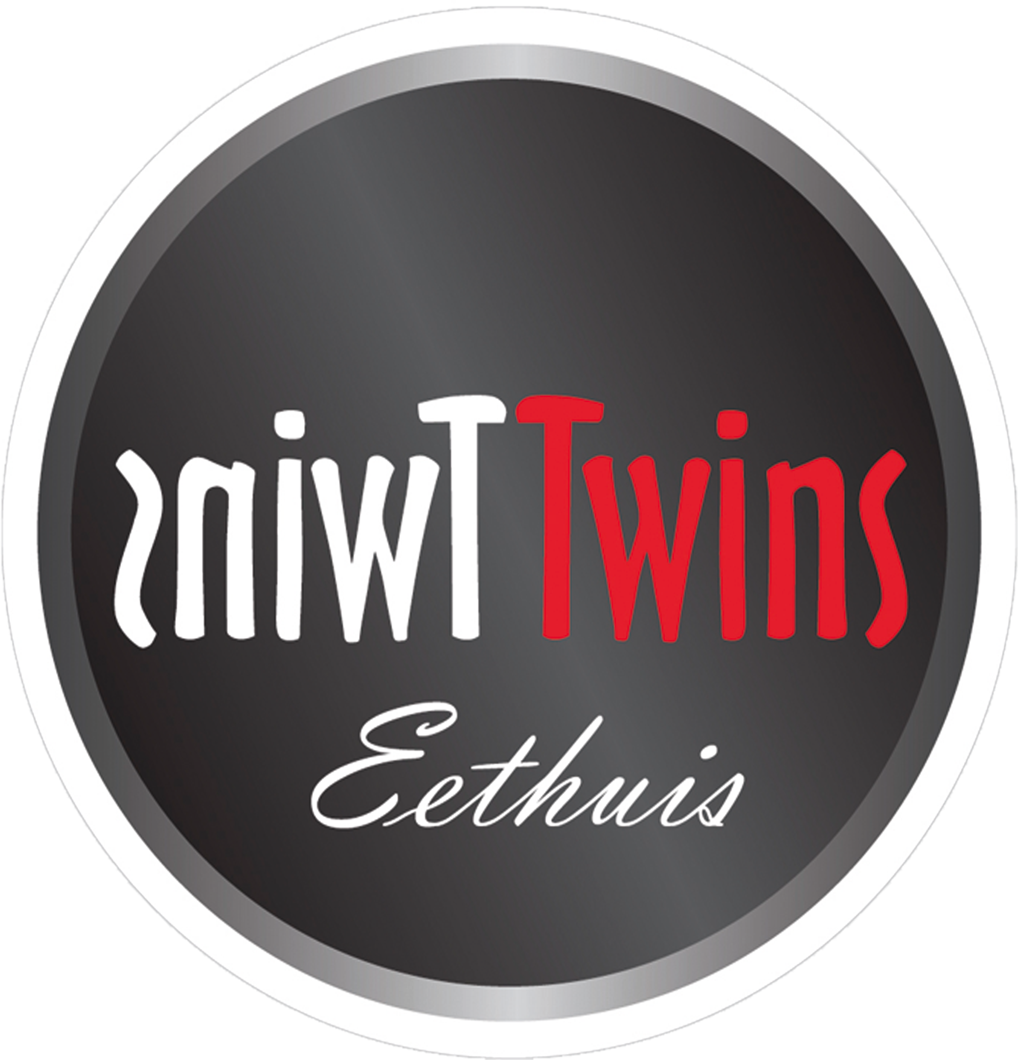 Twins logo